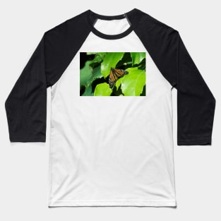 Australian Wanderer Baseball T-Shirt